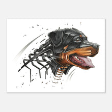 Load image into Gallery viewer, 31215b1c-2cdd-46f7-8dae-41158ef802ed