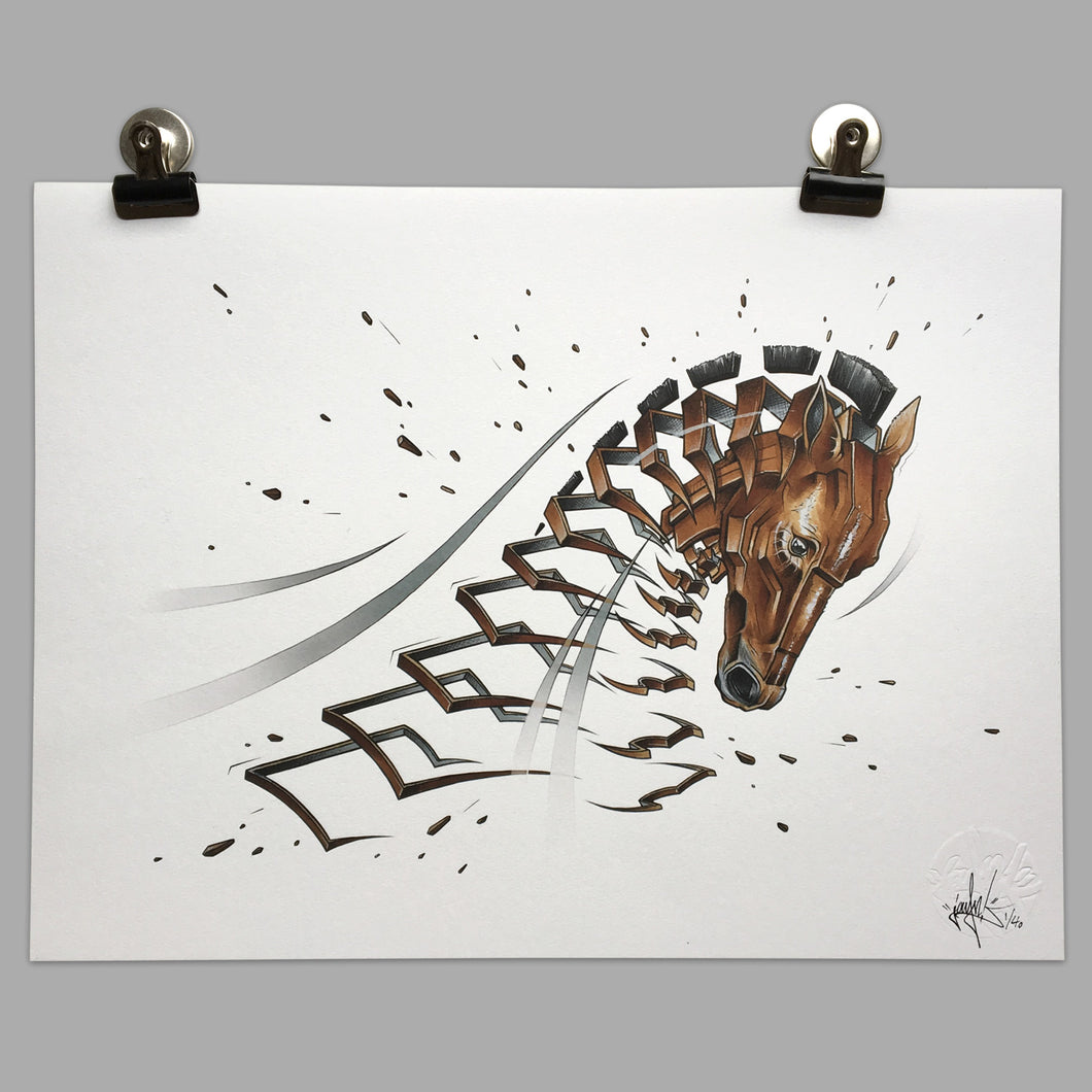 Fine Art Print 