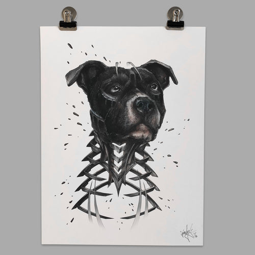 Fine Art Print 