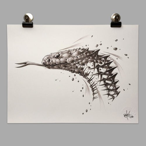 Fine Art Print 
